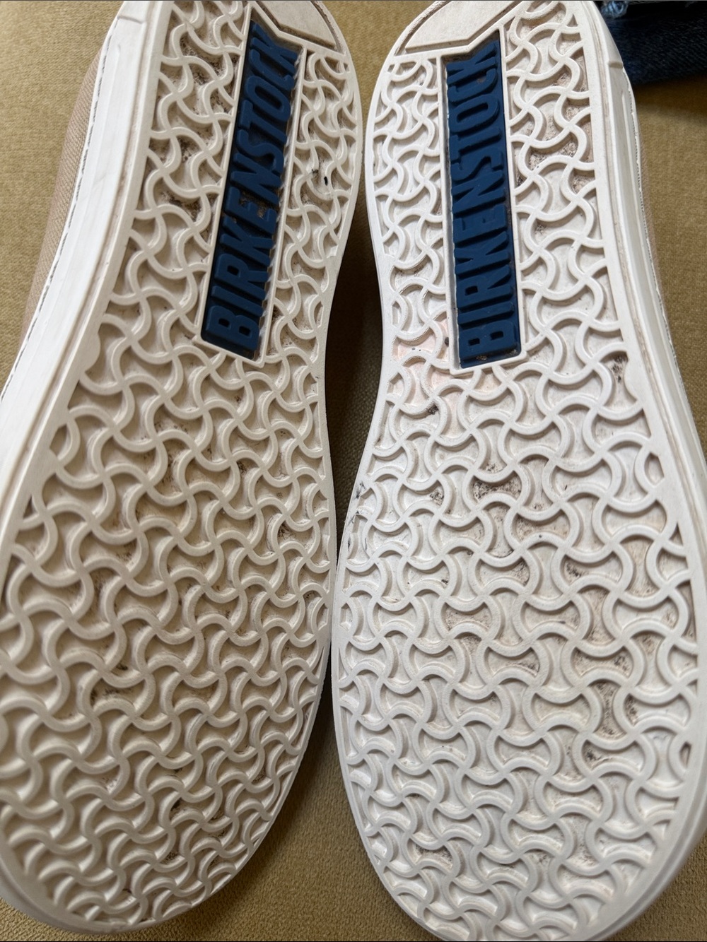 Arran Canvas Sneakers - Picture 7 of 7